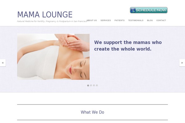Avada Child Theme theme site design template sample