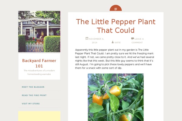 Fictive theme site design template sample