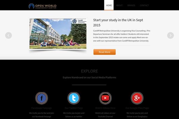 Traffica theme site design template sample