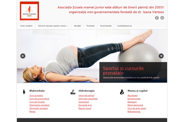 Modernize v3.16 theme site design template sample