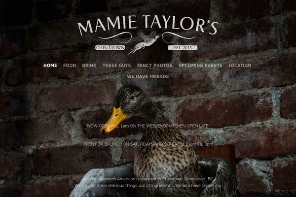 Hayden theme site design template sample