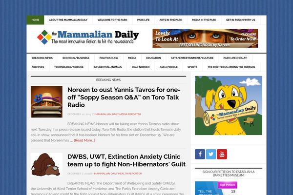 News Pro theme site design template sample