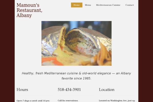 Virtue Premium theme site design template sample