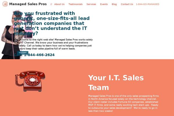 Custom theme site design template sample