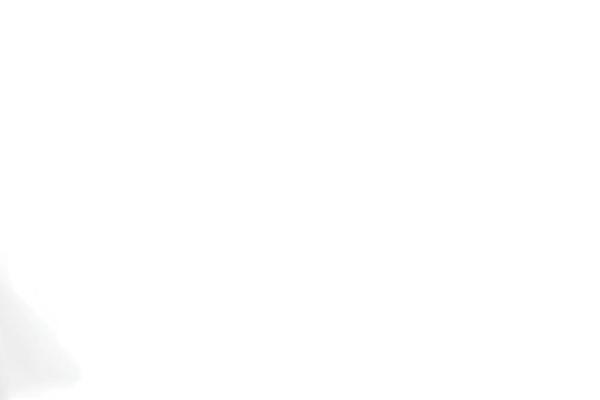 Site using Fluid_forms plugin