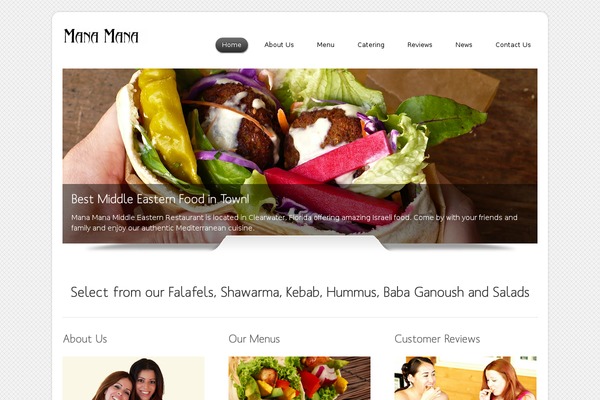 Dzonia Lite theme site design template sample