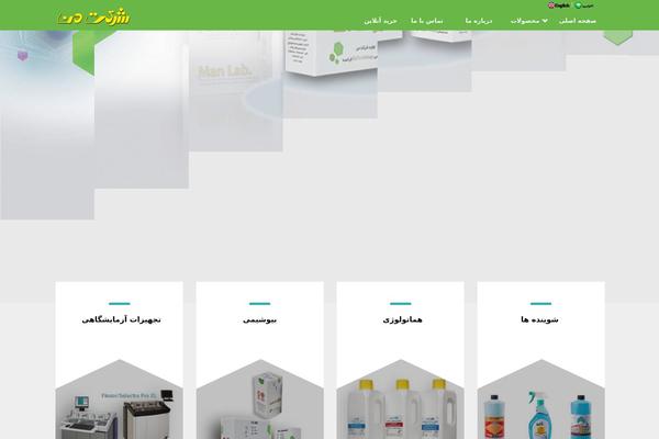 The Company theme site design template sample