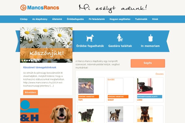 Site using Gallery-bank-pro-edition plugin