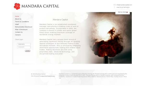 mandaracapital.com site used Bricks