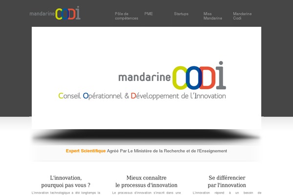 Display theme site design template sample