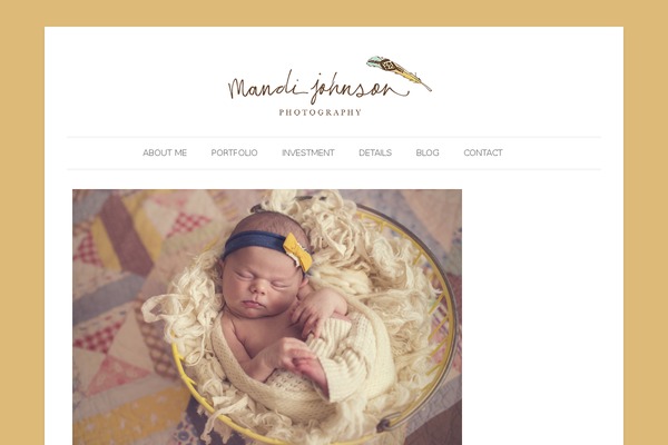 ProPhoto 5 theme site design template sample