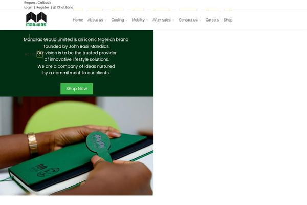 Shoptimizer theme site design template sample