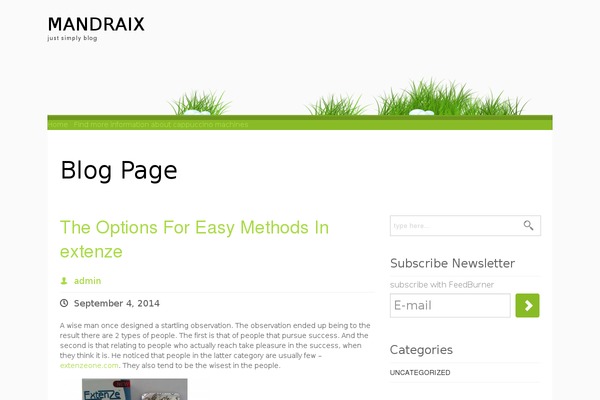 My-world-with-grass-and-dew theme site design template sample