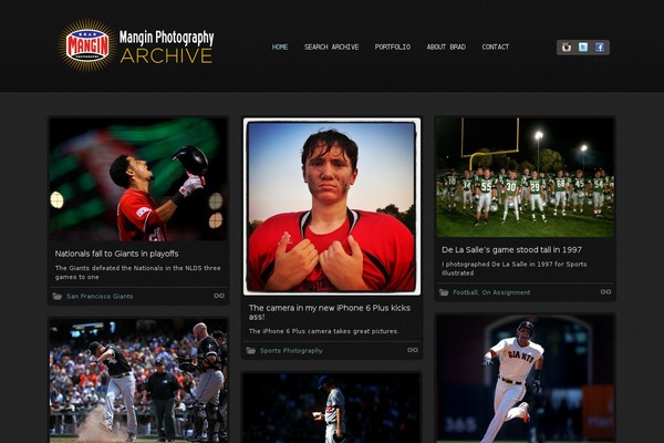 Shaken Grid Premium theme site design template sample