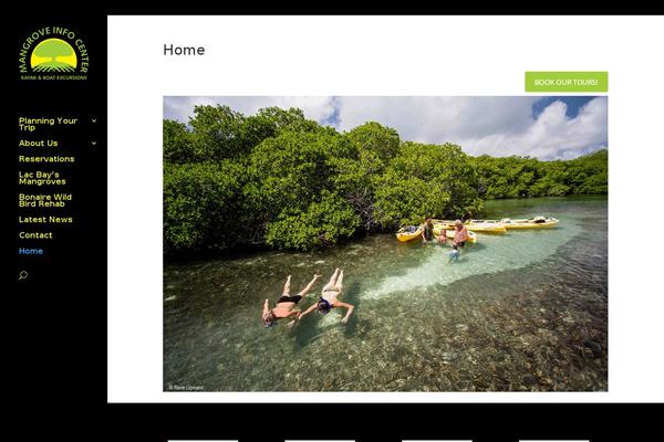 Divi Child theme site design template sample