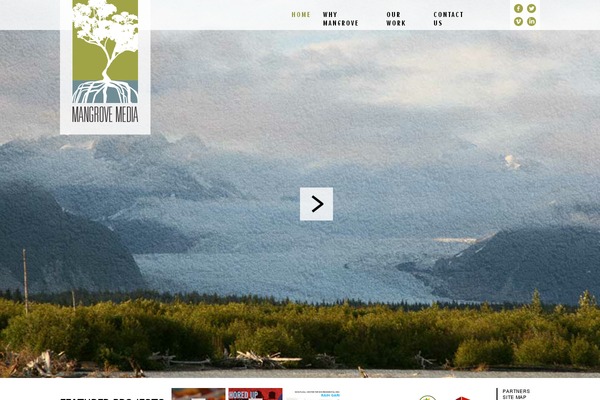 Site using Gravity Forms - Placeholders add-on plugin