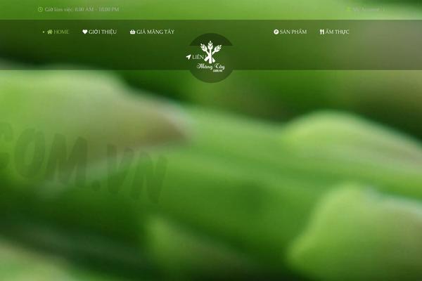 mangtay.com.vn site used Mangtay