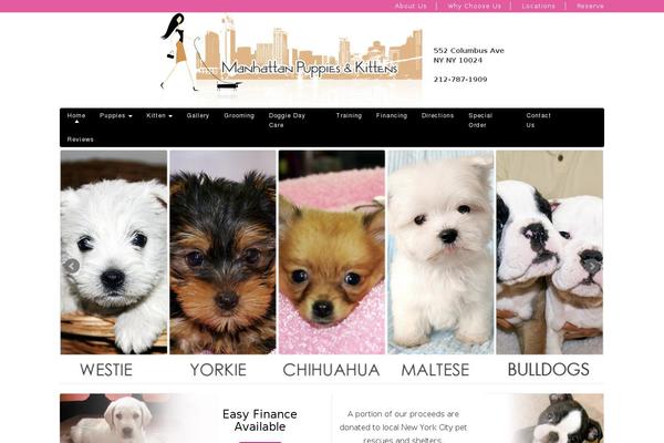 Manhattan theme site design template sample