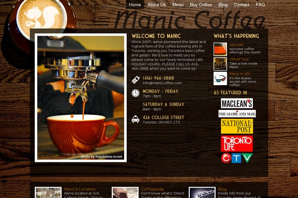 Cafepress theme site design template sample