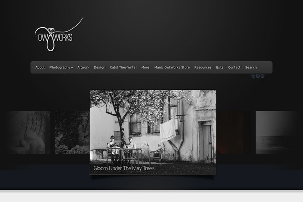 Chameleon theme site design template sample