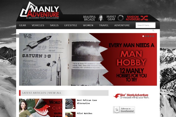 Megamag theme site design template sample