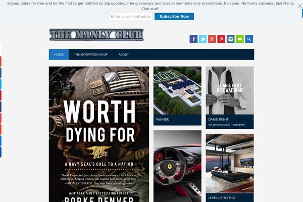 iPin theme site design template sample