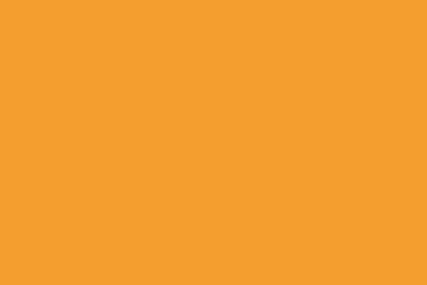 Site using Wp-mailchimp plugin