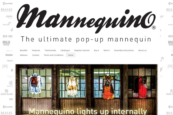 PageLines theme site design template sample