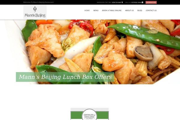 Chicago theme site design template sample