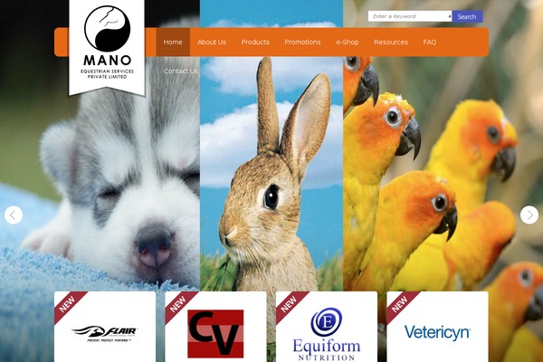 Mes theme site design template sample
