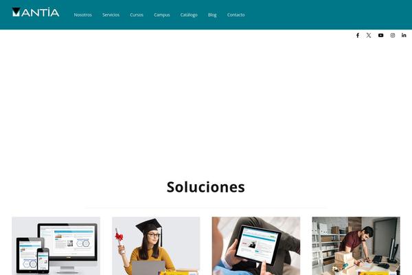 Site using Themesky plugin