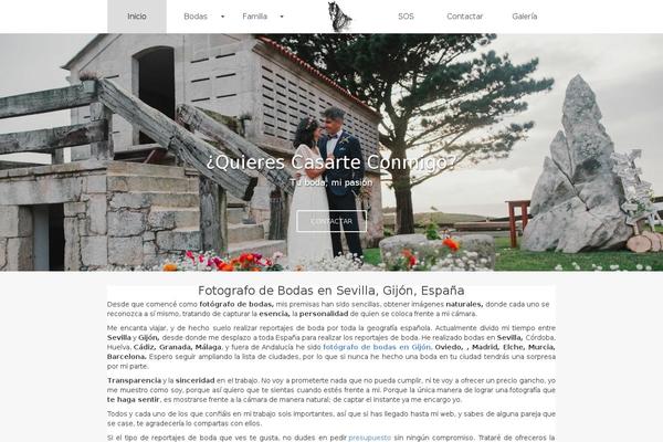 Pinnacle Premium theme site design template sample