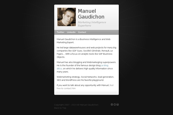 MiniCard theme site design template sample