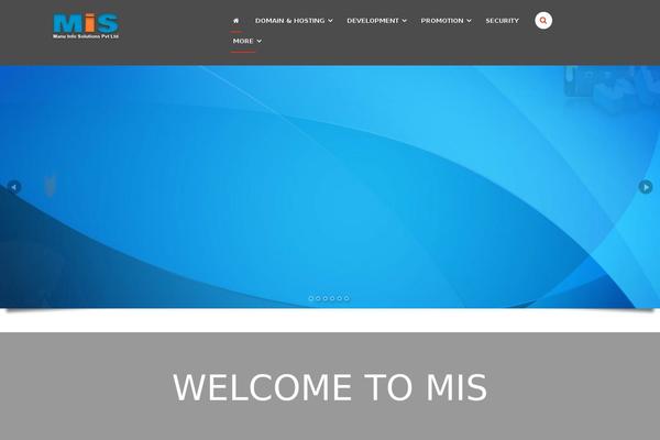 manuinfosolutions.com site used Skt-fse