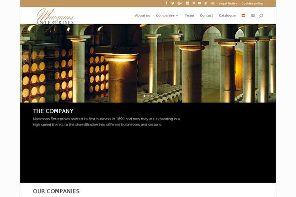 Divi theme site design template sample