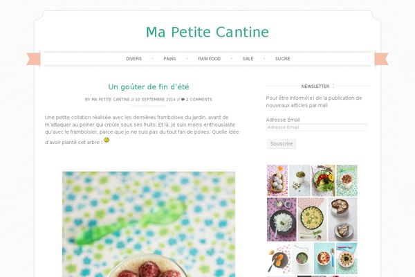 Blossom Mommy Blog theme site design template sample