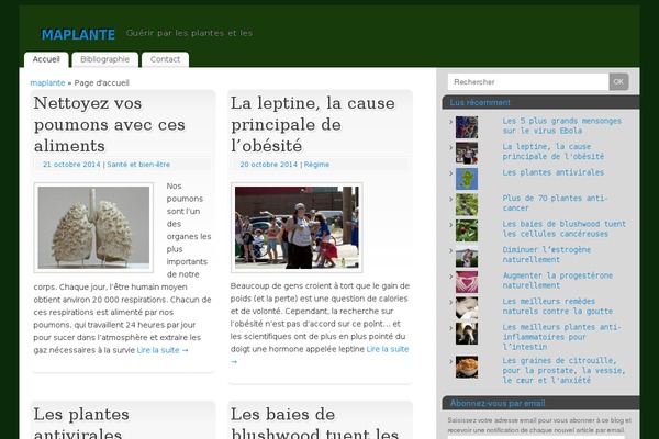 maplante.com site used Hestia-child
