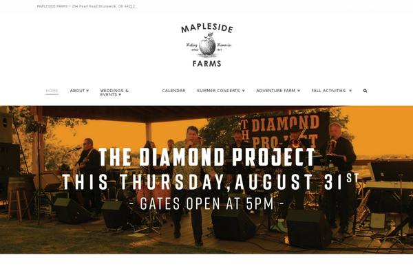 Site using X-email-mailchimp plugin