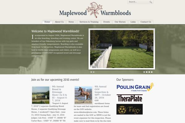 PureVISION theme site design template sample