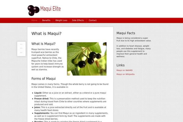 Thesis 1.8.4 theme site design template sample