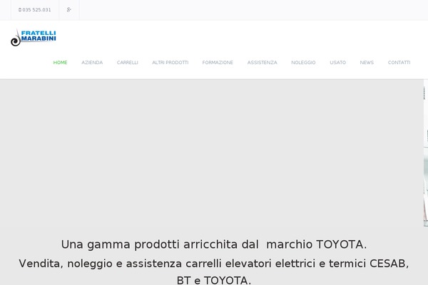 Decoy theme site design template sample