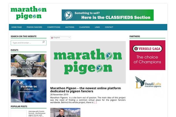 Site using Clever-mega-menu plugin
