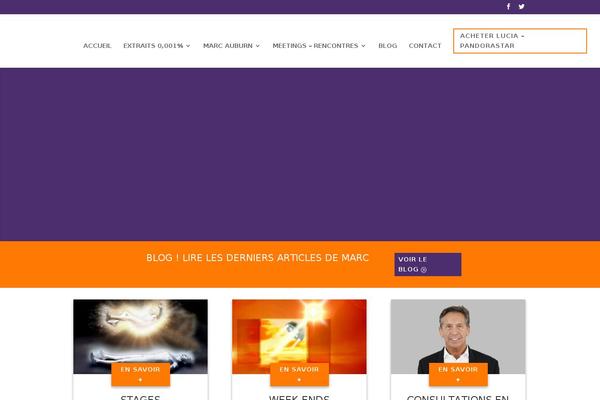 marc-auburn.com site used Lucido-informatique