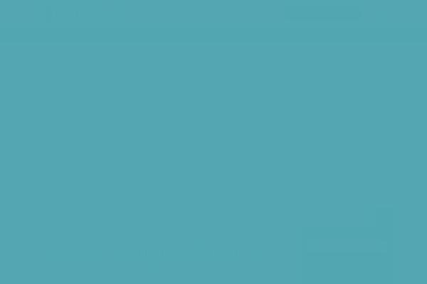 Site using Jet-search plugin
