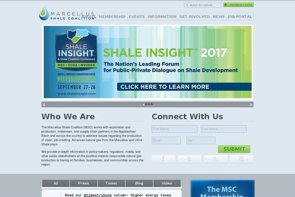 Site using Media Grid plugin
