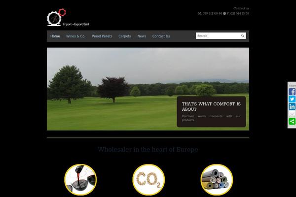 BlackBird theme site design template sample