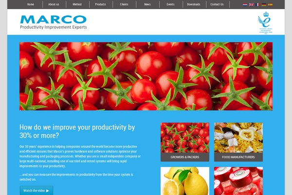 Souffle theme site design template sample