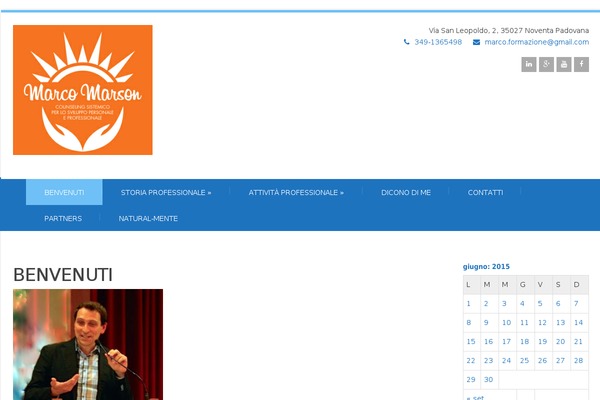 Felicity theme site design template sample