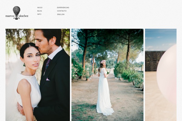 Matte theme site design template sample