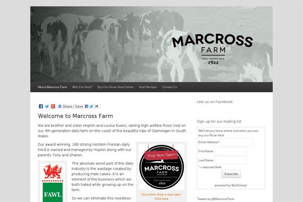 Cruz theme site design template sample